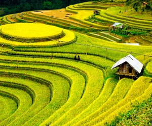 Land Surveys