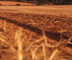 Contaminated Land