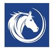 White Horse Surveyors Logo